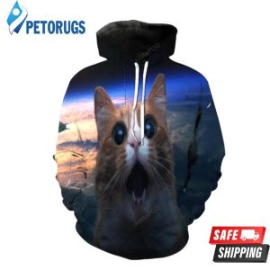 Surprised Cat 3D Hoodie